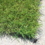 Environmental Grass Supplier - High Quality Environmental Material