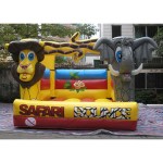 Inflatable Boat Manufacturer - 12 Person Double Inflatable Water Slide