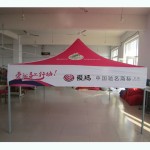 Colorful Tent Supplier - Colorful Decorated Marquee Tent Wedding
