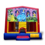 Commercial Bouncer Supplier - Outdoor Commercial Inflatable Rental