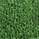 Competitive Price Manufacturer - Competitive Price Outdoor Carpet