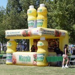 Commercial Booth Supplier - Cheap Commercial Bounce House Candy