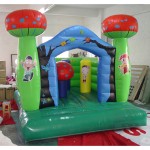 Inflatable Boat Manufacturer - 12 Person Double Inflatable Water Slide