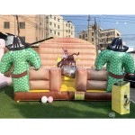 Riding Machine Supplier - Hot Selling Amusement Park Riding Machine