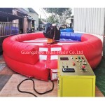 Riding Machine Supplier - Hot Selling Amusement Park Riding Machine