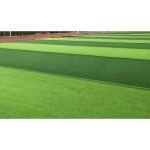 Synthetic Grass Supplier - Synthetic Artificial Grass Non Fill
