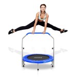 Supporting Trampoline Supplier - Supporting Cheap 6ft-16ft Round