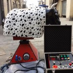 Bull Ride Factory - Crazy Sport Game Bull Ride Machine