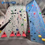 PVC Rock Climbing Wall Factory - Factory-Owned Educational Amusement