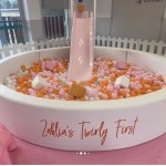 Kids Play Ball Pit Manufacturer - Round Circle Mall Use Design