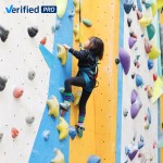 PVC Climbing Wall Supplier - Heavy-Duty School-Friendly Educational