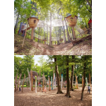 Playground Equipment Supplier - Customized Eco-Friendly Wooden