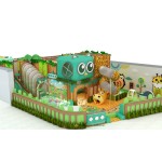 Jungle Theme Supplier - Jungle Theme Indoor Playground Equipment