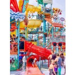 Amusement Equipment Manufacturer - Large Outdoor Amusement Equipment