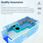 Indoor Playground Supplier - Manufacturer Customized Ocean Theme