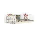 Indoor Playground Supplier - Professional Custom Christmas Theme