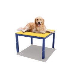 Pet Training Equipment Supplier - Easy Assembly Eco-Friendly Modular