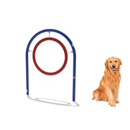 Dog Agility Training Kit Factory - Colorful Healthy Easy Clean