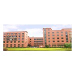 Spring Rider Manufacturer - Popular Style Garden Playground Toys