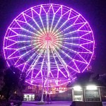 Professional Supplier - 42m Ferris Wheel Professional Manufacturer