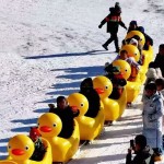 Snow Toy Factory - Cute PE Duck Snow Sled One Person