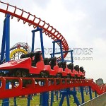 Family Coaster Supplier - Factory Price Outdoor 12 Persons Kids