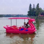 Tourist Boat Manufacturer - Tourist Boat with Fiberglass Hull 25