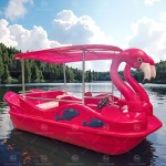 Watercraft Manufacturer - PE Flamingo Electric Watercraft with