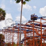 Crazy Mouse Factory - Exciting Crazy Mouse coaster Tight Curves