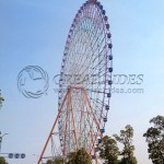 City Landmark Factory - China Manufacturers 88m Ferris Wheel