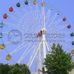 Theme Park Supplier - Amusement Theme Park Outdoor Ferris Wheel