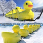 Winter Equipment Supplier - PE Yellow Duck Snow Sled Single