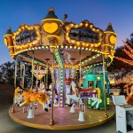 Carnival Ride Supplier - Hot Carnival Rides Shopping Mall Adult