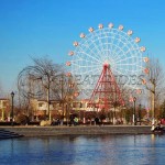 Professional Supplier - 42m Ferris Wheel Professional Manufacturer
