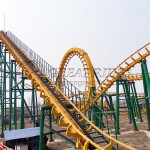 Family Coaster Supplier - Factory Price Outdoor 12 Persons Kids