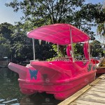 Colorful Boat Supplier - Colorful Flamingo Electric Boat for