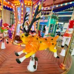 Family Ride Manufacturer - Amusement Park Family Rides 16 Seats