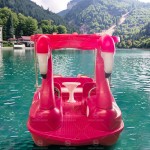 Colorful Boat Supplier - Colorful Flamingo Electric Boat for