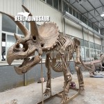 Dinosaur Skeleton Supplier - Zigong Maker T-rex Skeleton