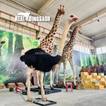 Animatronic Animal Factory - Safari Park Custom Ostrich Simulation