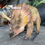 Fiberglass Dinosaur Manufacturer - Life Size Triceretops Museum