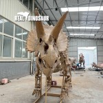 Dinosaur Skeleton Supplier - Zigong Maker T-rex Skeleton