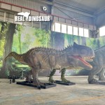 Animatronic Dinosaur Model Factory - Amusement Realistic Carnotaurus