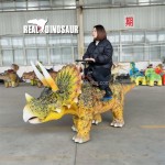 Dinosaur Ride Supplier - Animated Electronic Coin Operated