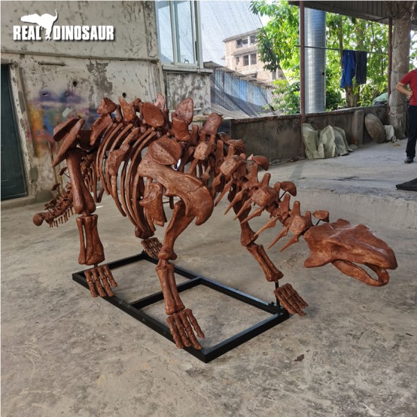 Fiberglass Dinosaur Manufacturer - Simulation Ankylosaurus Skeleton