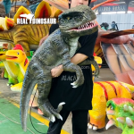 Animatronic Puppet Factory - Handmade Raptor Blue Baby Dinosaur