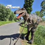 Animatronic Dinosaur Costume Manufacturer - Hot Sale Realistic Robot