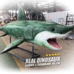 Animatronic Shark Manufacturer - Life-Size Indoor Metal Silicone