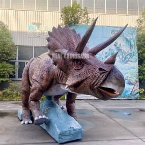 Animatronic Dinosaur Manufacturer - Walking Triceratops Interactive