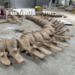 Dinosaur Skeleton Supplier - Brachiosaurus Leg Bone Fiberglass